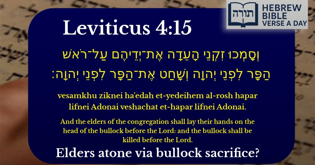 Leviticus 4:15 - ויקרא 4:15