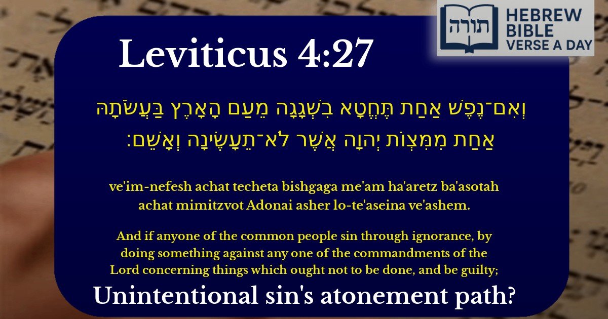 Leviticus 4:27 - ויקרא 4:27