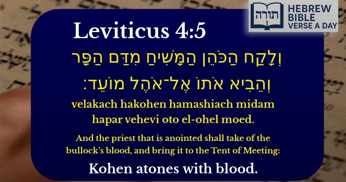 Leviticus 4:5 - ויקרא 4:5