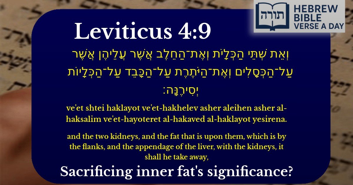 Leviticus 4:9 - ויקרא 4:9