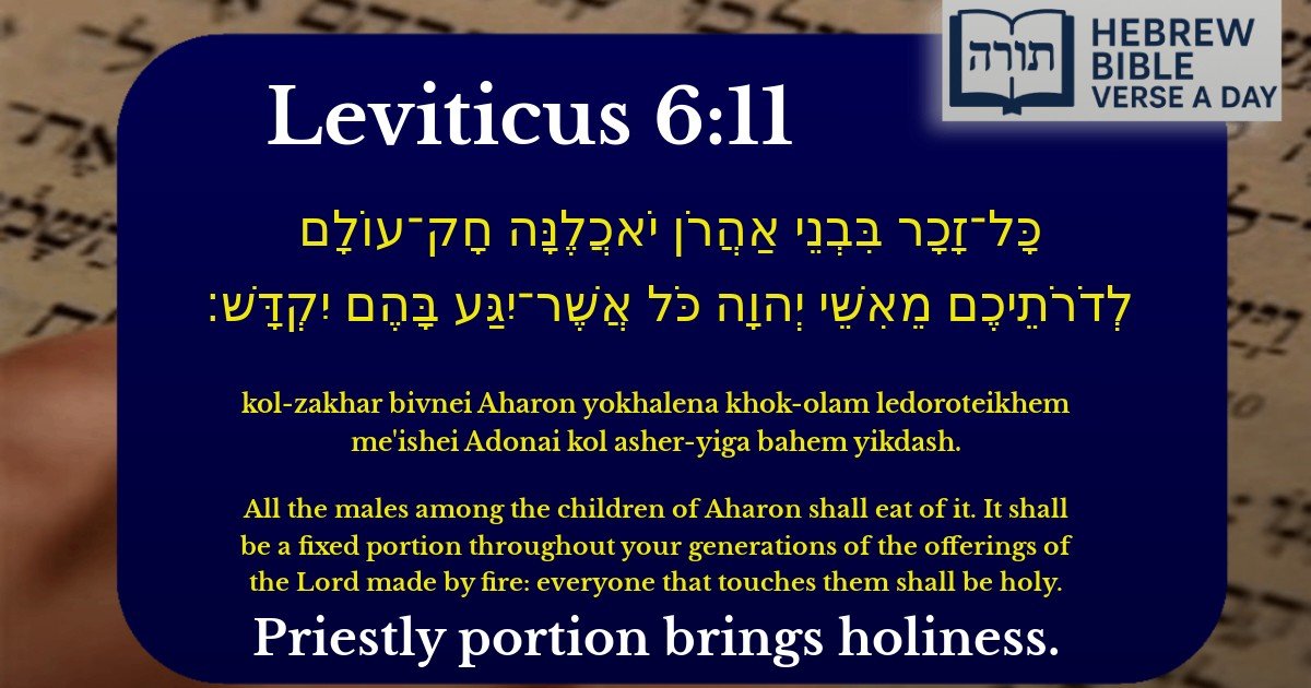 Leviticus 6:11 - ויקרא 6:11