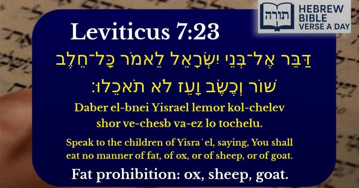 Leviticus 7:23 - ויקרא 7:23