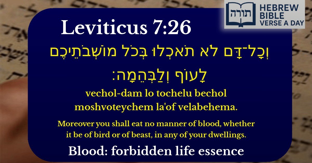 Leviticus 7:26 - ויקרא 7:26