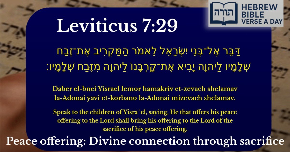 Leviticus 7:29 - ויקרא 7:29
