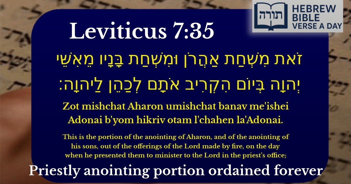 Leviticus 7:35 - ויקרא 7:35