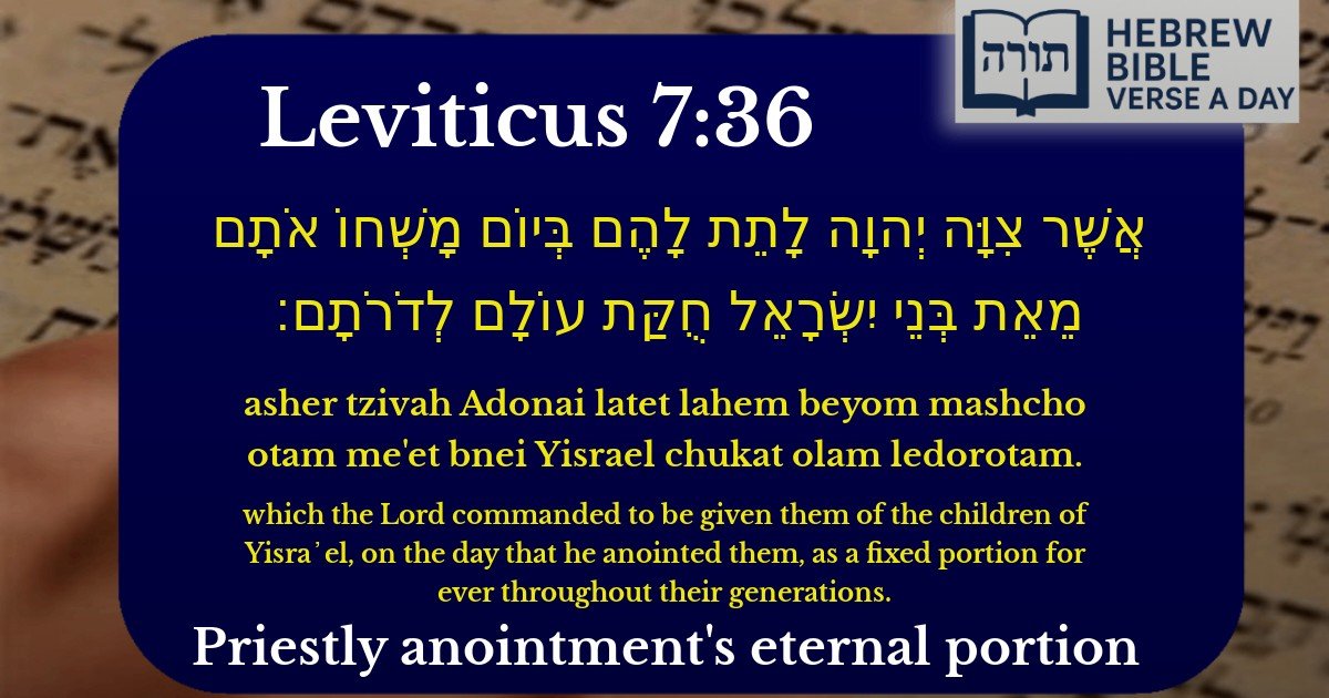 Leviticus 7:36 - ויקרא 7:36