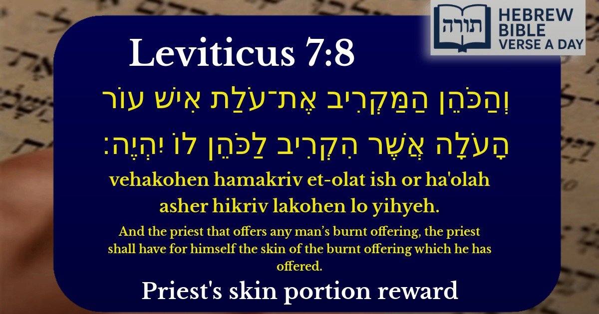 Leviticus 7:8 - ויקרא 7:8