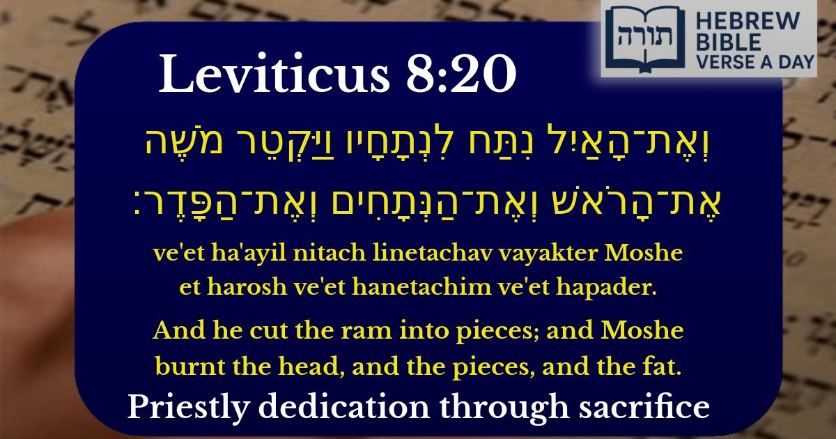 Leviticus 8:20 - ויקרא 8:20