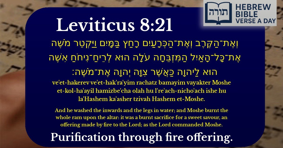 Leviticus 8:21 - ויקרא 8:21