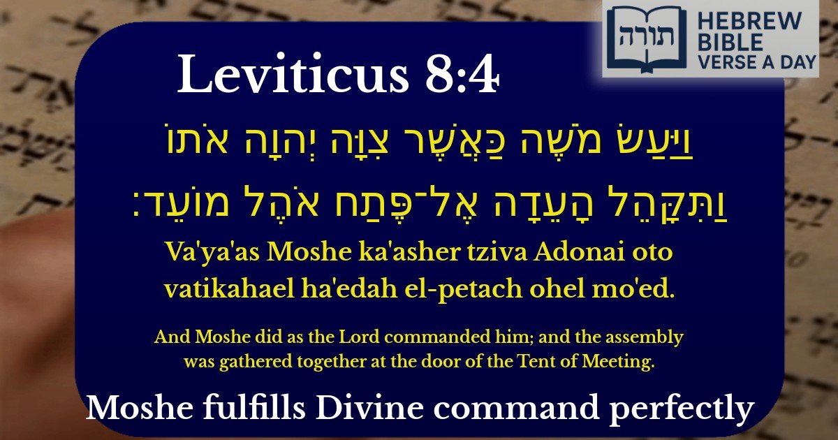 Leviticus 8:4 - ויקרא 8:4