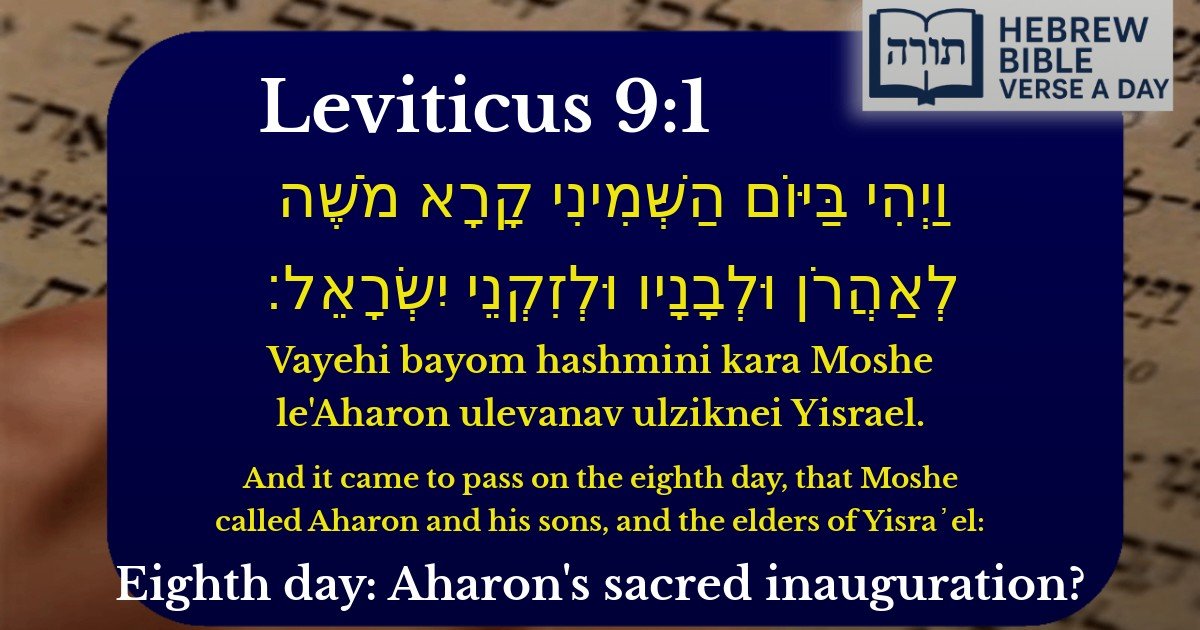 Leviticus 9:1 - ויקרא 9:1