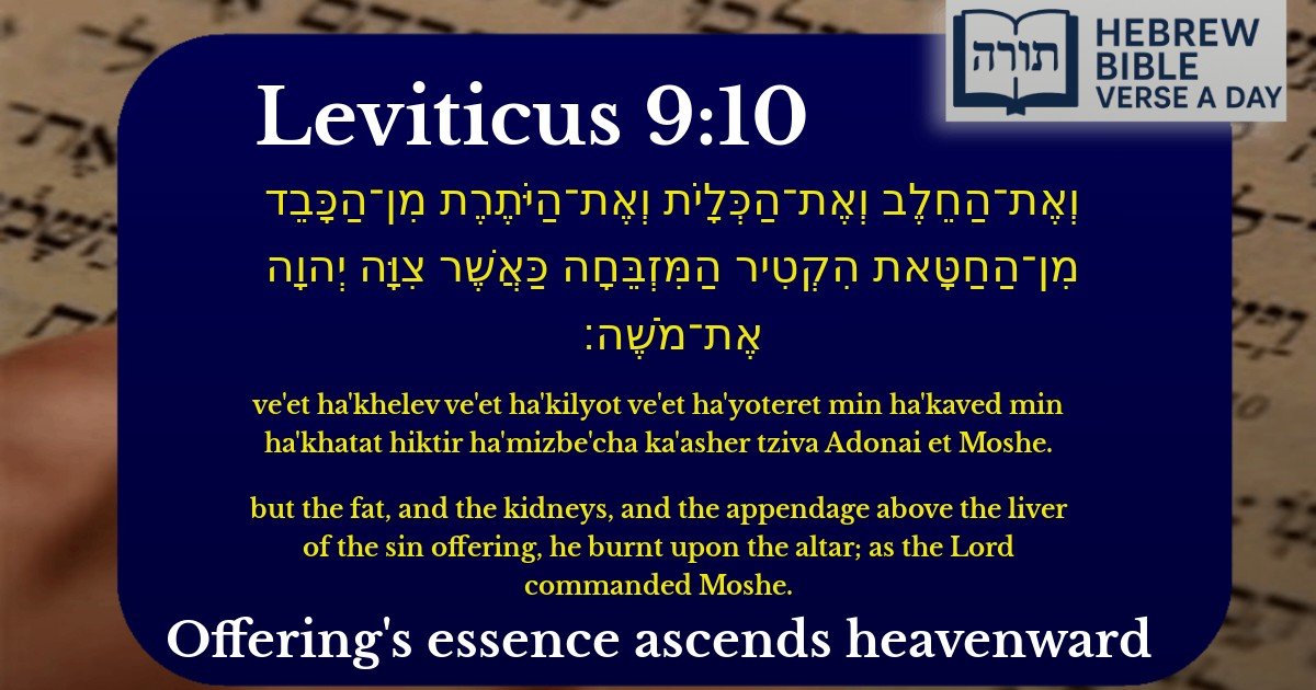 Leviticus 9:10 - ויקרא 9:10