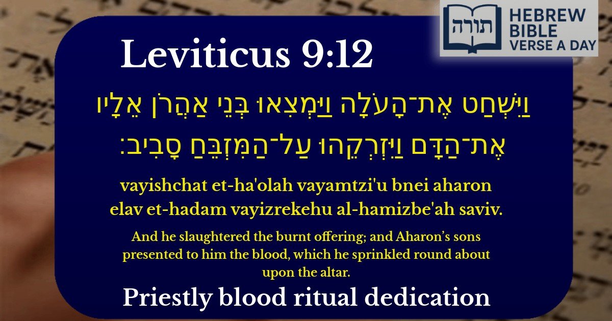 Leviticus 9:12 - ויקרא 9:12