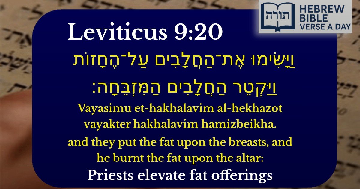 Leviticus 9:20 - ויקרא 9:20