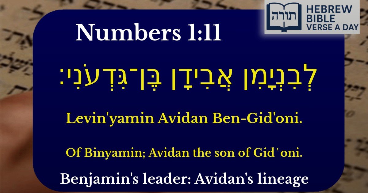 Numbers 1:11 - במדבר 1:11