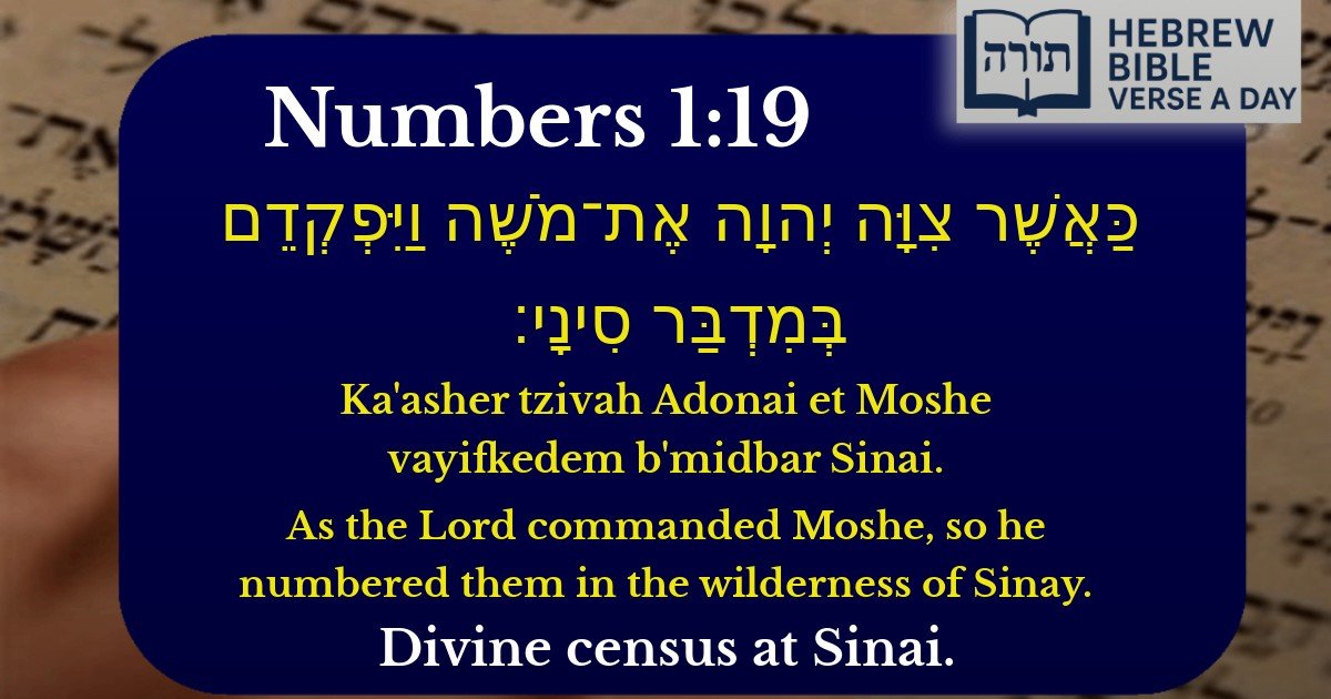 Numbers 1:19 - במדבר 1:19