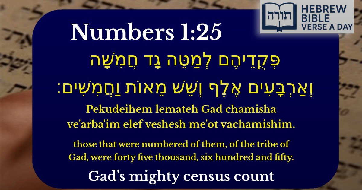 Numbers 1:25 - במדבר 1:25