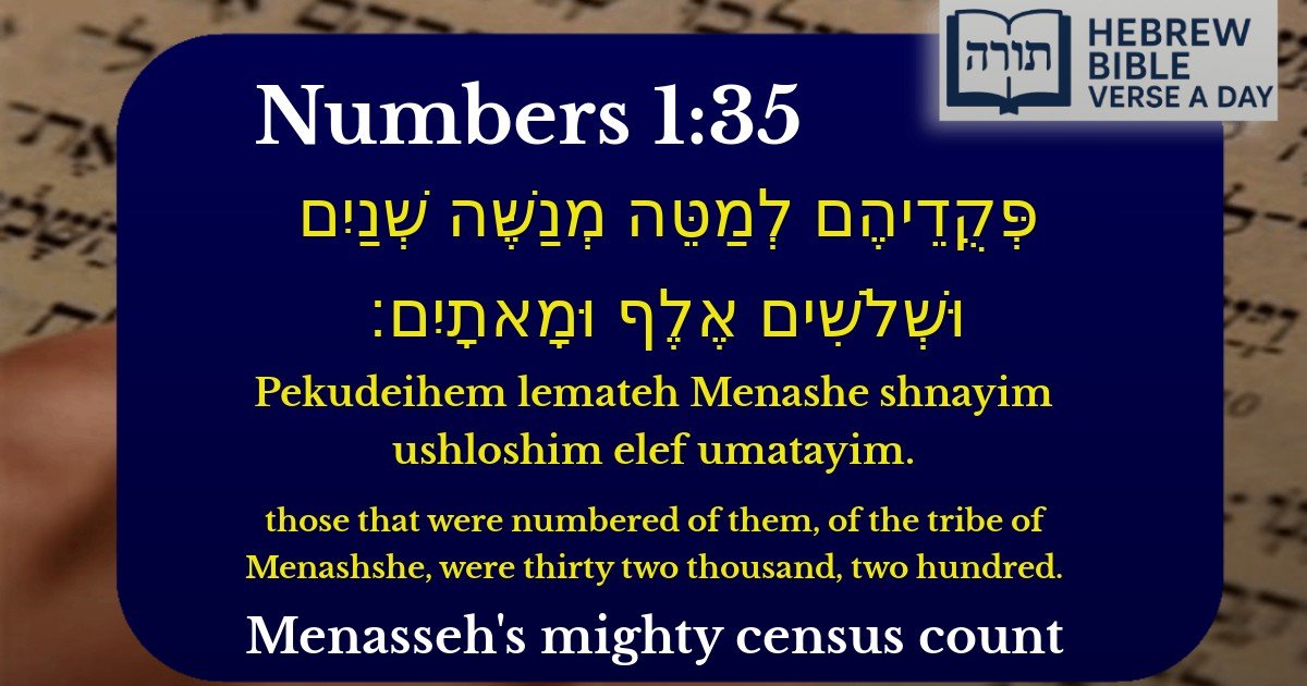 Numbers 1:35 - במדבר 1:35