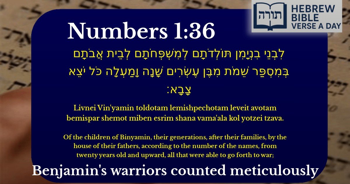 Numbers 1:36 - במדבר 1:36