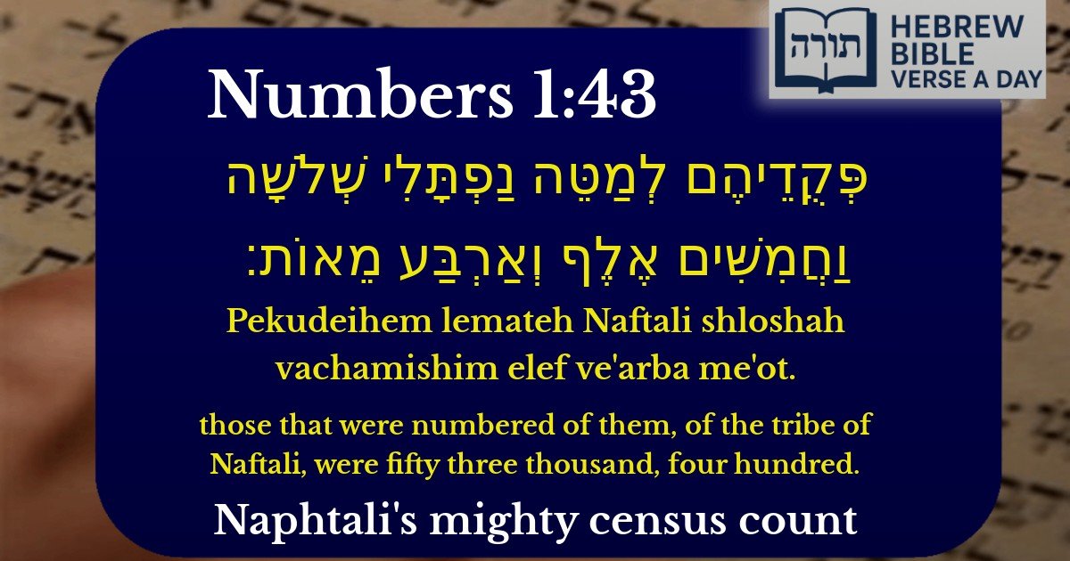 Numbers 1:43 - במדבר 1:43