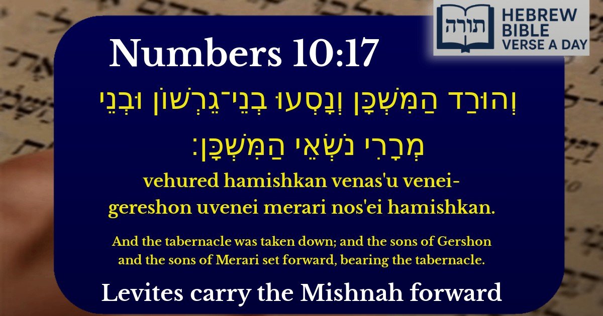 Numbers 10:17 - במדבר 10:17