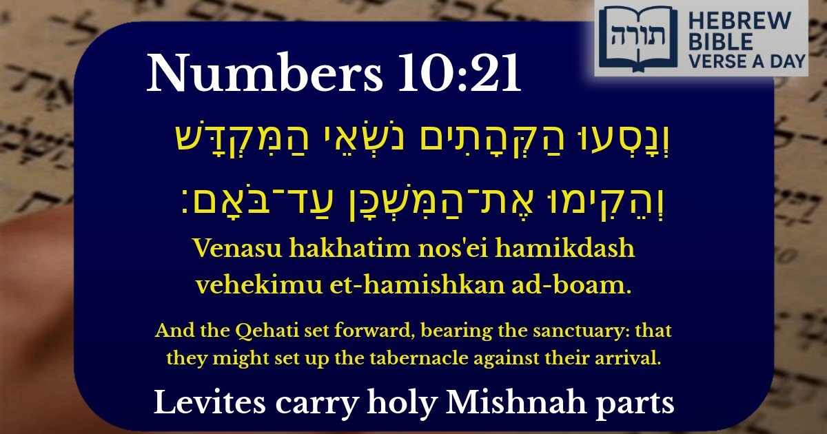 Numbers 10:21 - במדבר 10:21
