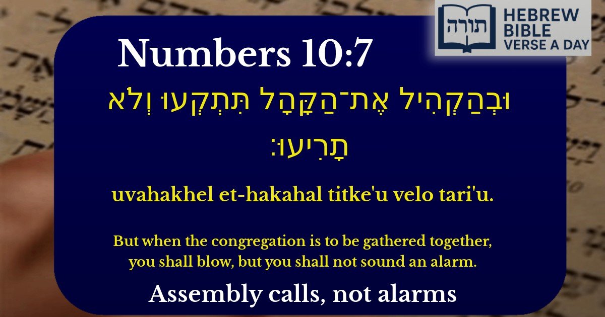 Numbers 10:7 - במדבר 10:7