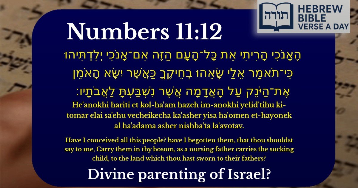 Numbers 11:12 - במדבר 11:12