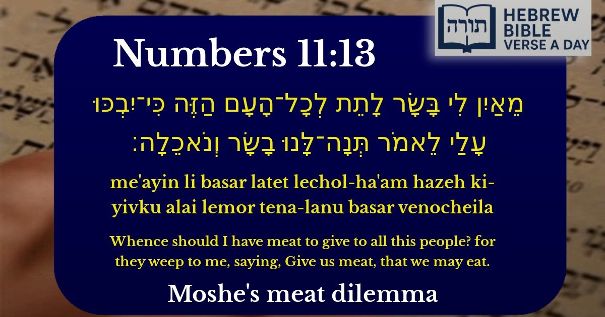 Numbers 11:13 - במדבר 11:13