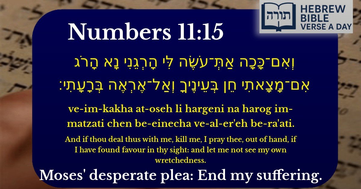 Numbers 11:15 - במדבר 11:15
