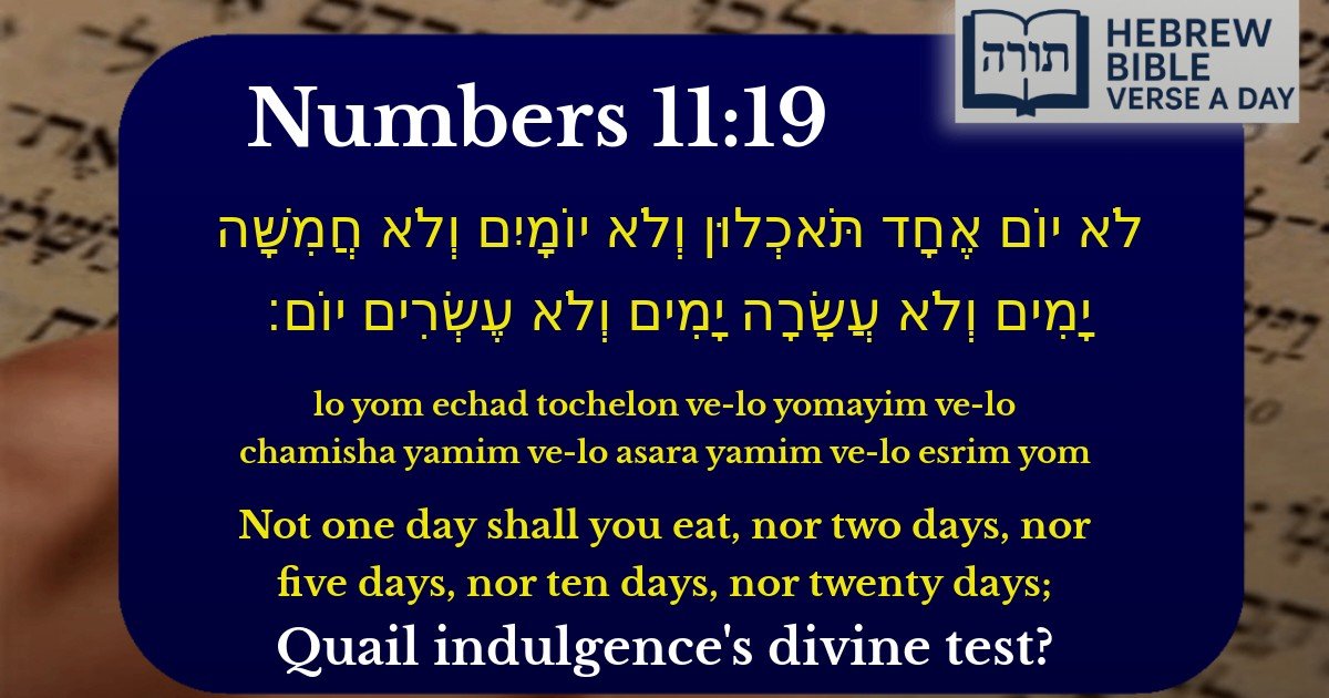 Numbers 11:19 - במדבר 11:19