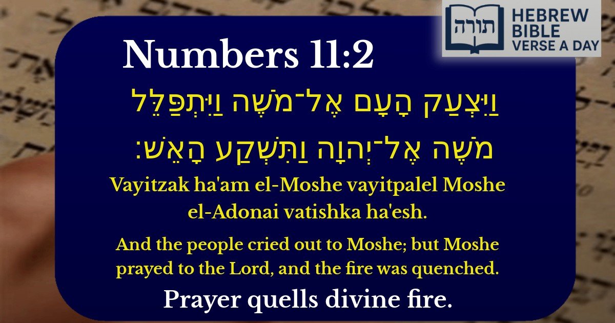Numbers 11:2 - במדבר 11:2