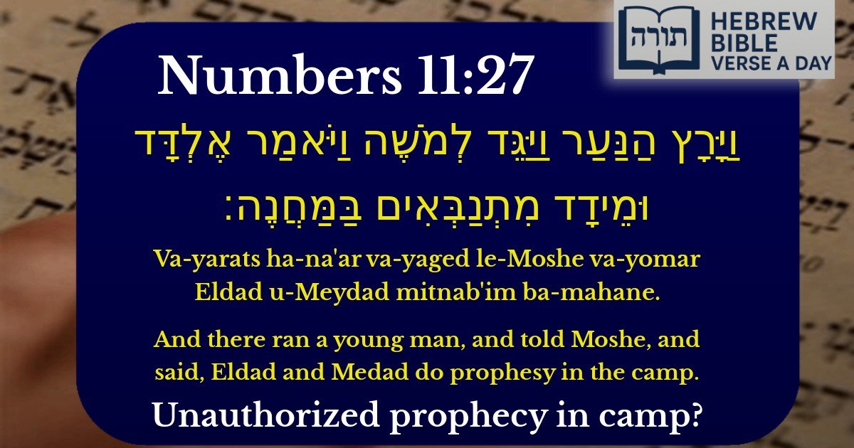Numbers 11:27 - במדבר 11:27