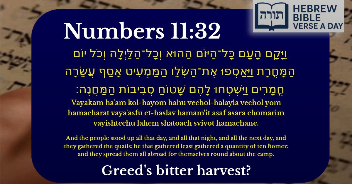 Numbers 11:32 - במדבר 11:32