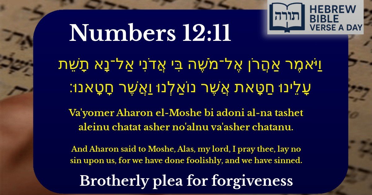 Numbers 12:11 - במדבר 12:11