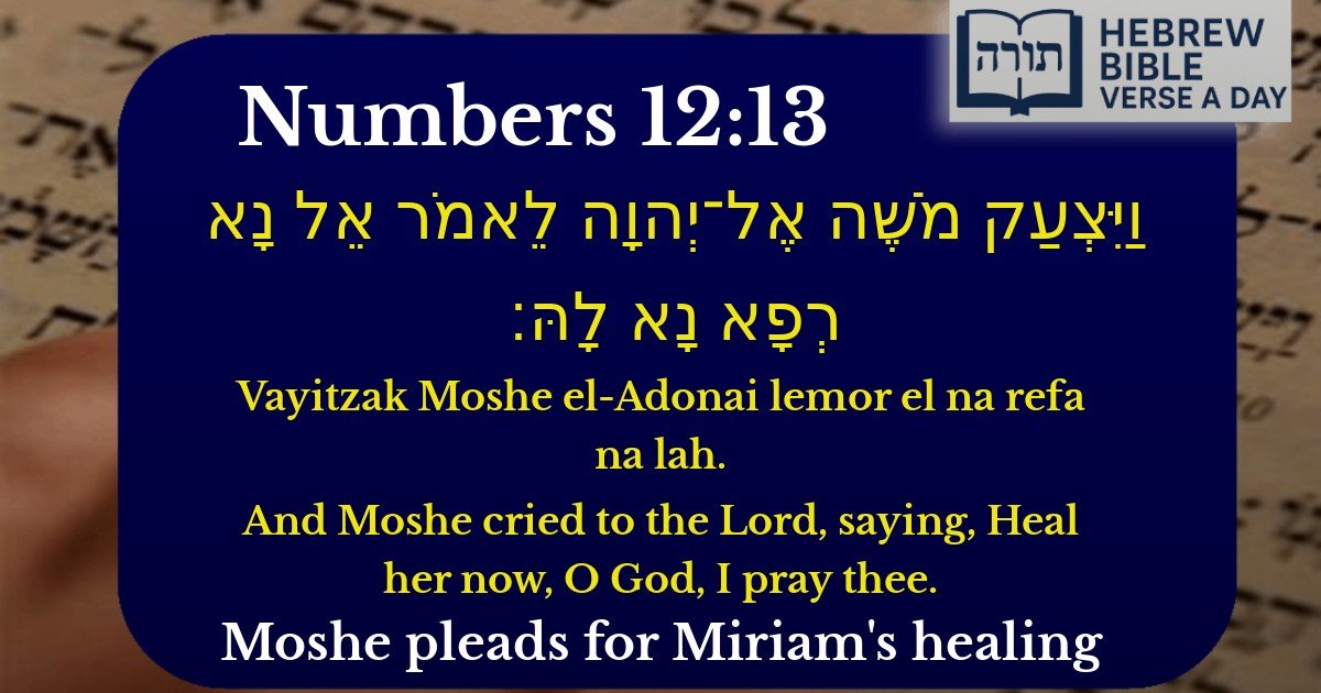 Numbers 12:13 - במדבר 12:13