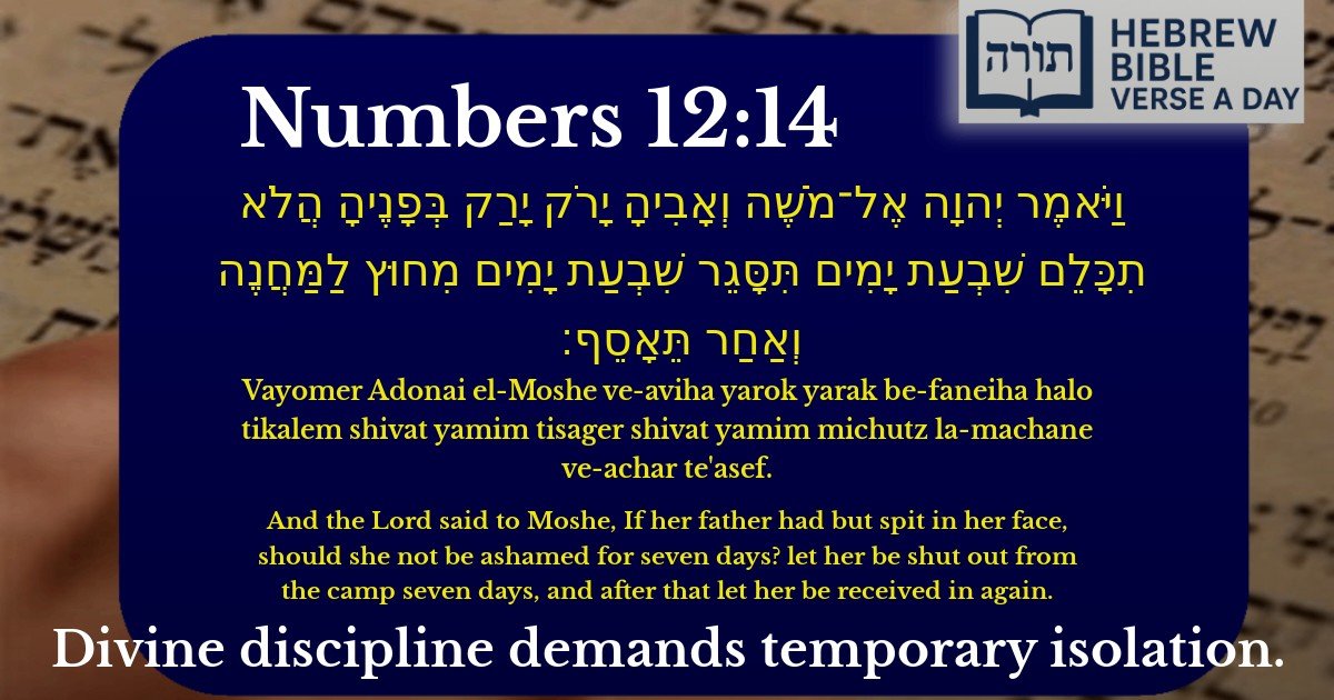 Numbers 12:14 - במדבר 12:14