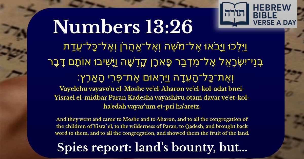 Numbers 13:26 - במדבר 13:26