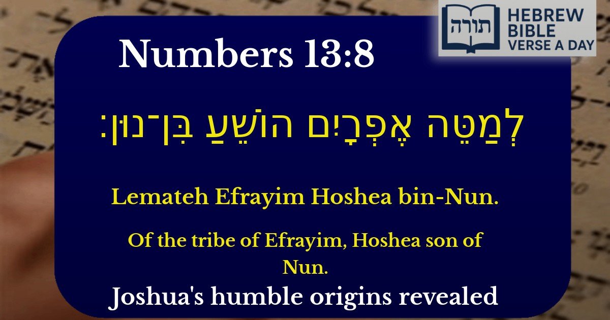 Numbers 13:8 - במדבר 13:8