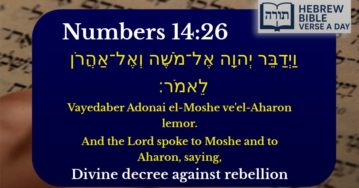 Numbers 14:26 - במדבר 14:26
