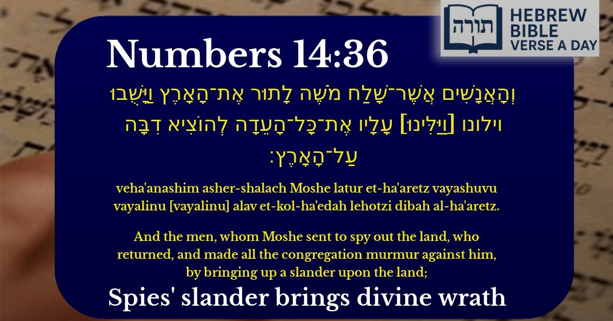 Numbers 14:36 - במדבר 14:36