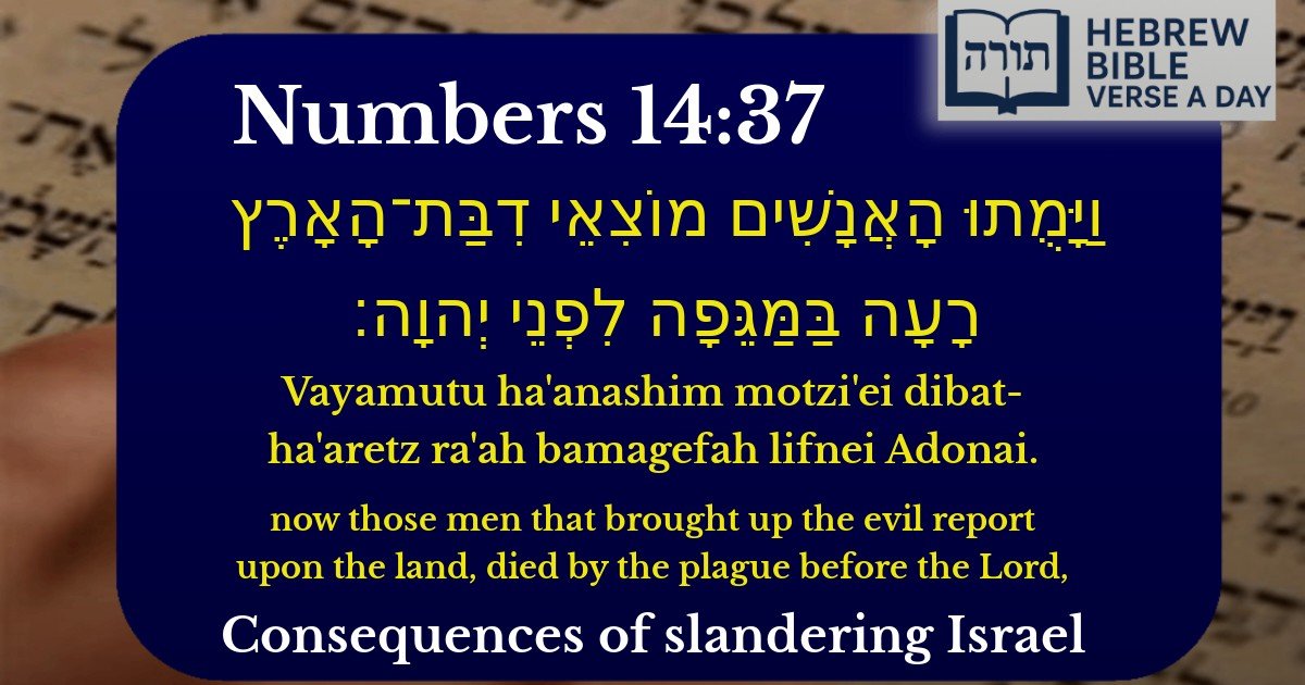 Numbers 14:37 - במדבר 14:37