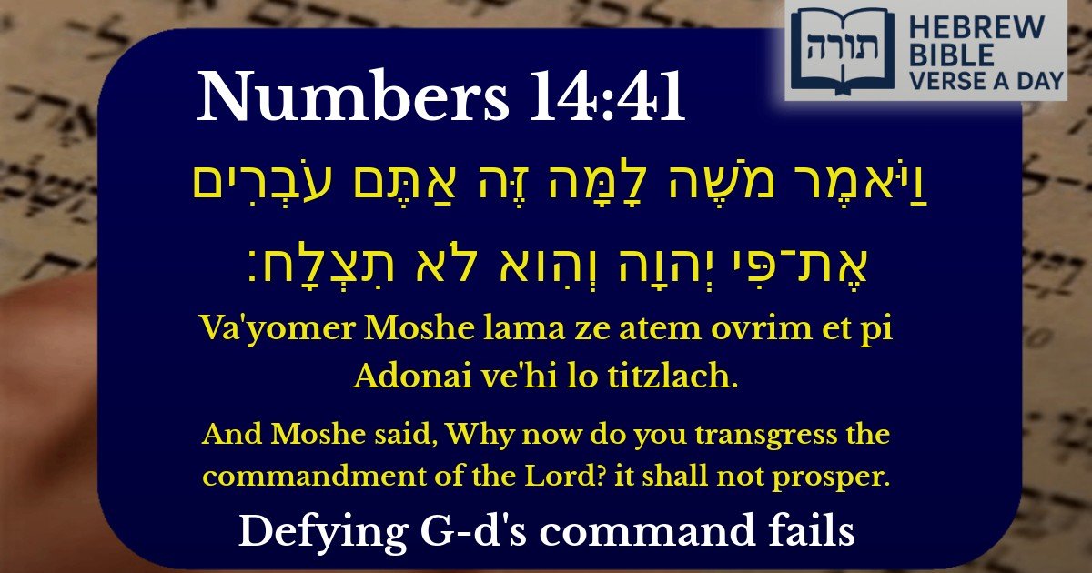 Numbers 14:41 - במדבר 14:41