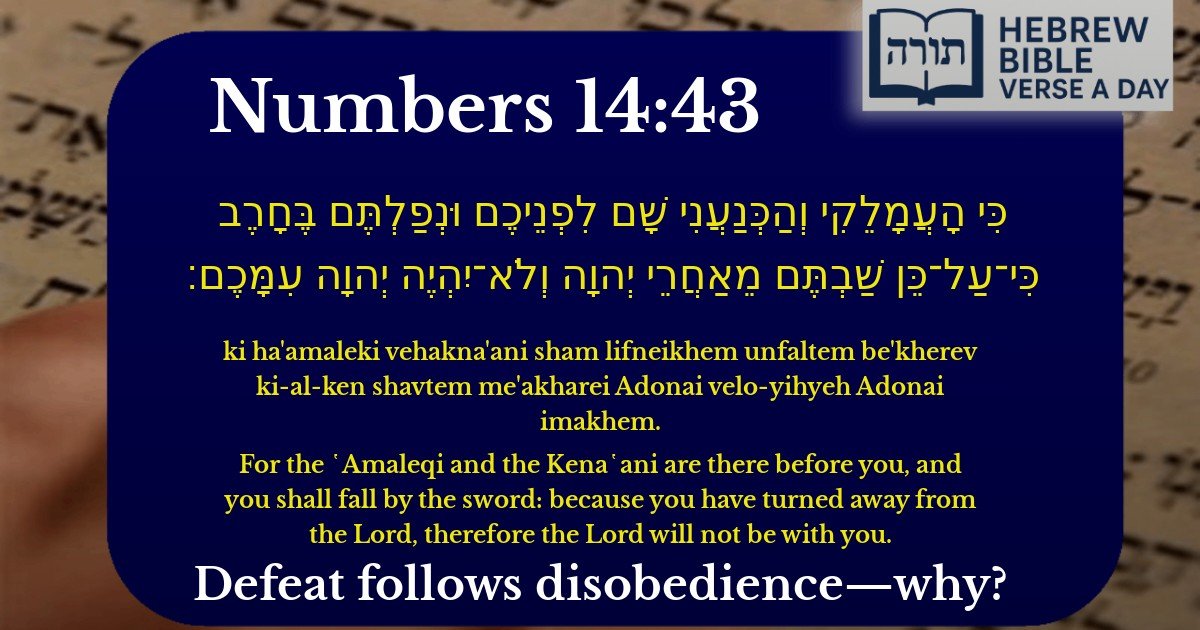 Numbers 14:43 - במדבר 14:43