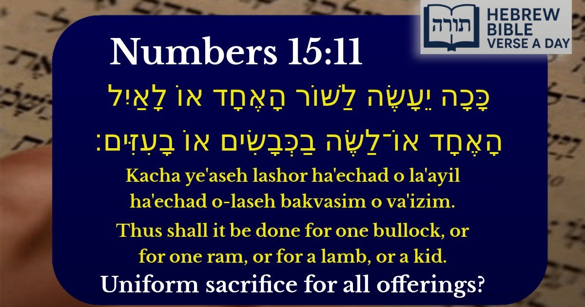 Numbers 15:11 - במדבר 15:11
