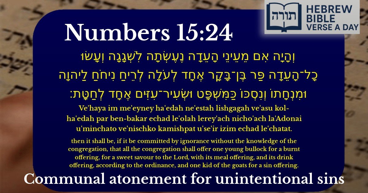 Numbers 15:24 - במדבר 15:24