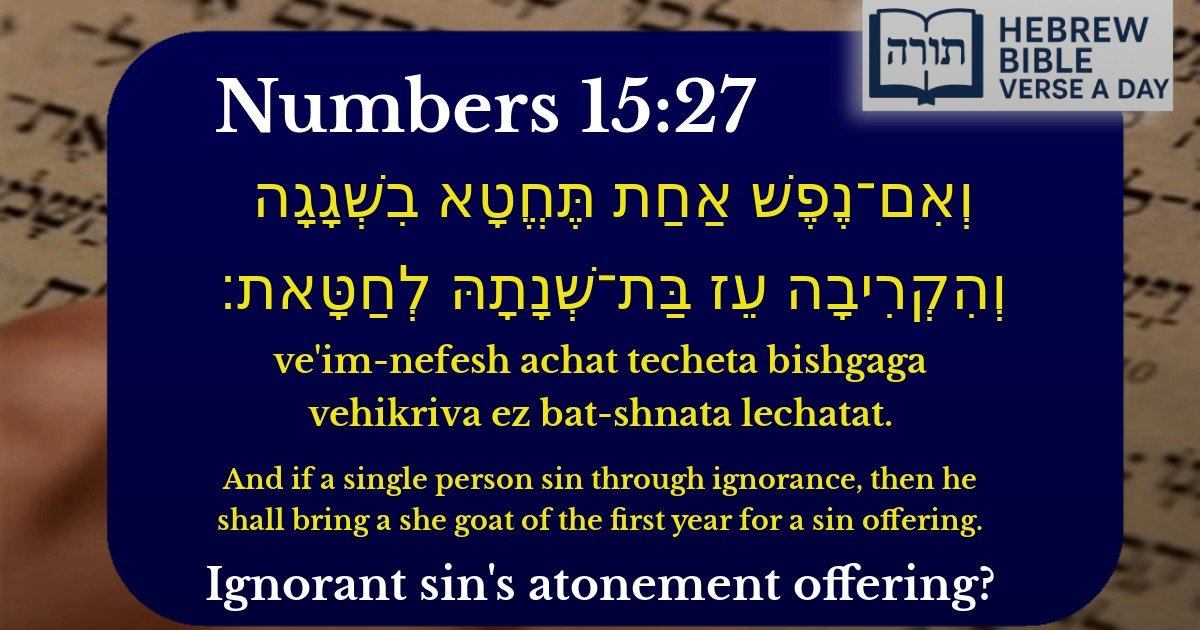 Numbers 15:27 - במדבר 15:27