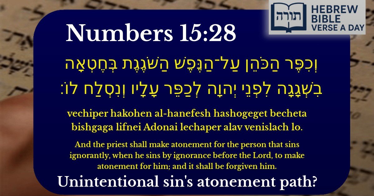 Numbers 15:28 - במדבר 15:28