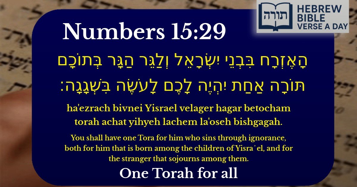 Numbers 15:29 - במדבר 15:29