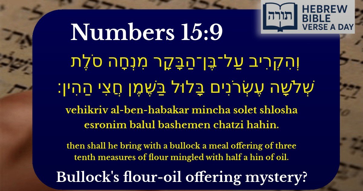 Numbers 15:9 - במדבר 15:9